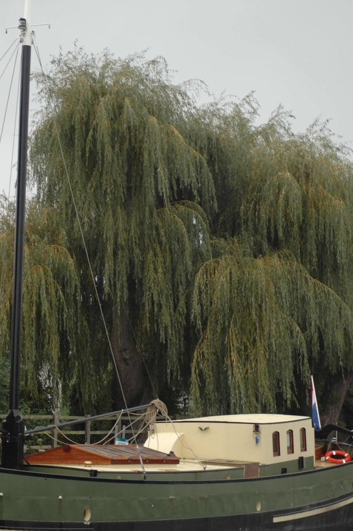 Hotel Barge Waternimf Ely Kültér fotó